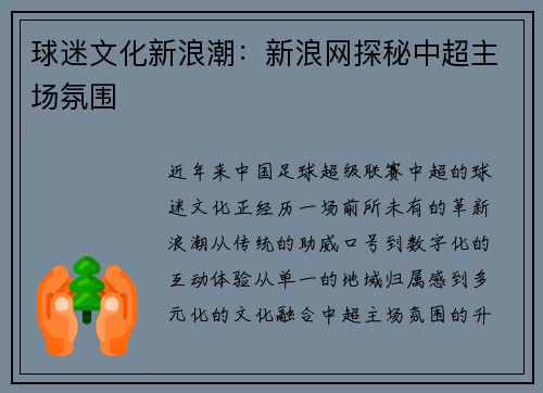 球迷文化新浪潮：新浪网探秘中超主场氛围